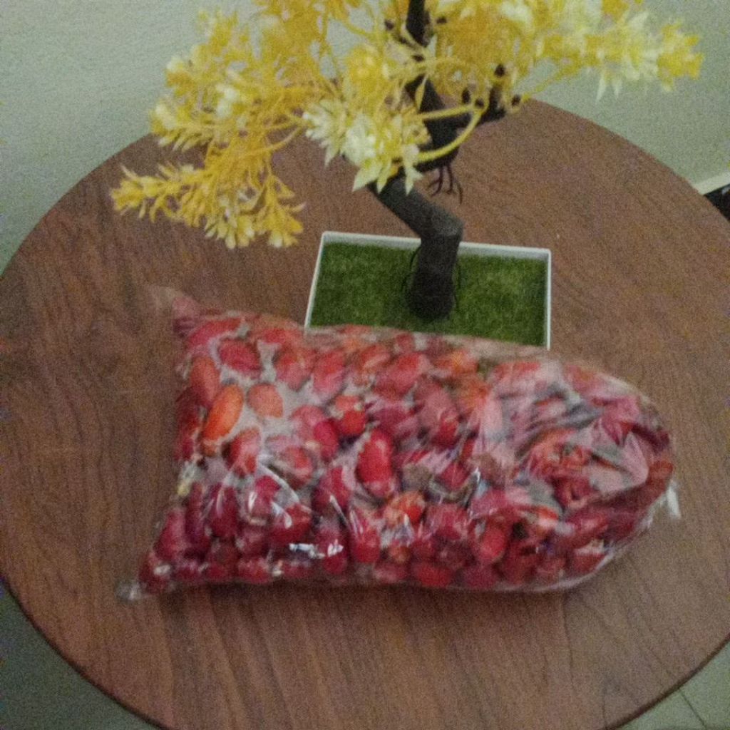 

cangkang melinjo atau kulit melinjo merah asli kebumen