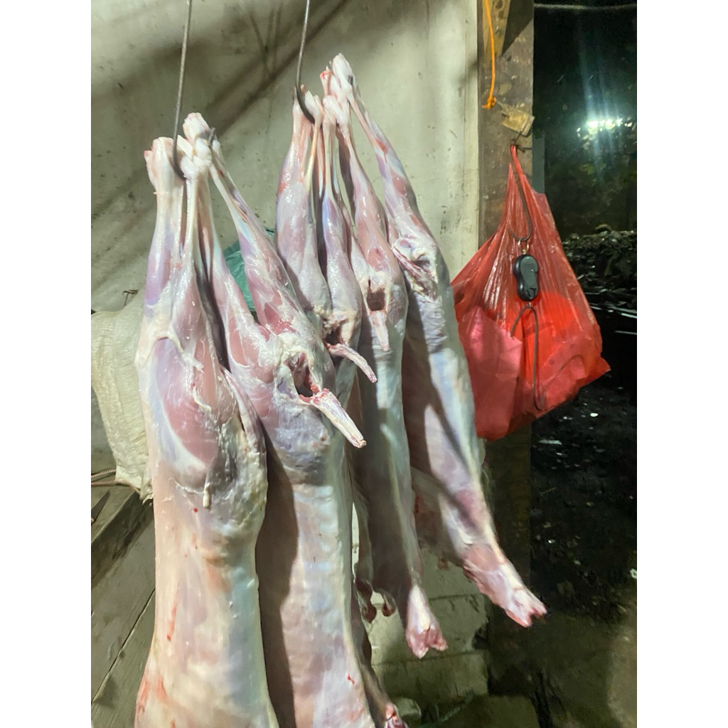 

TERMURAH!!! Daging kambing karkas fresh 1ekor