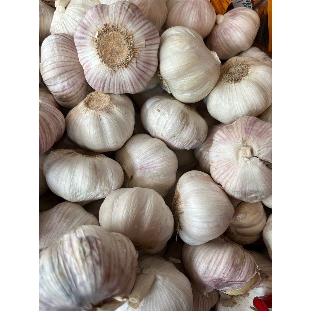 Bawang putih /Bawang putih/ bawang kulit