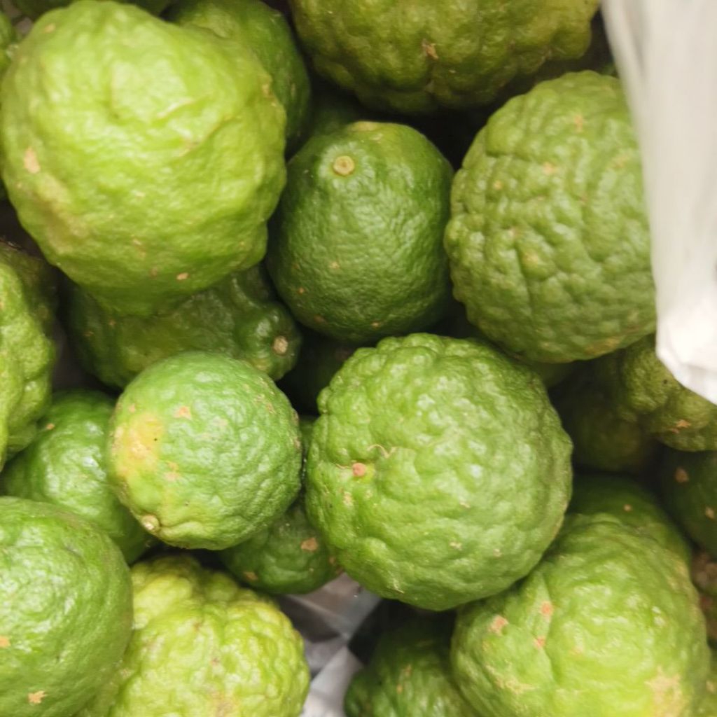 

Jeruk Purut Fresh Jual Kirim jeruk purut asli