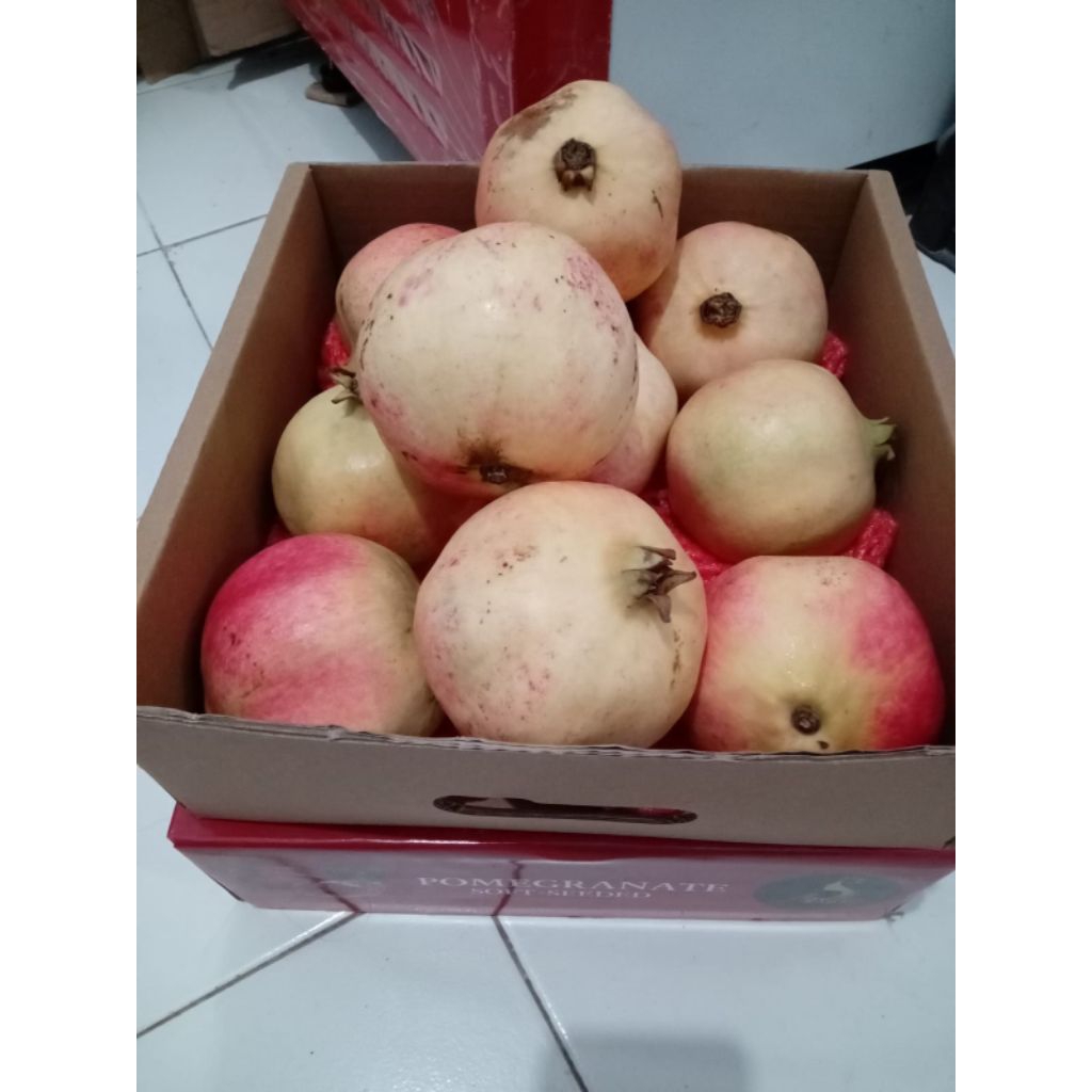 

Buah delima merah termurah UK kecil harga 1 pcs buah delima merah kampung/lokalUntuk syukuran kehamilan