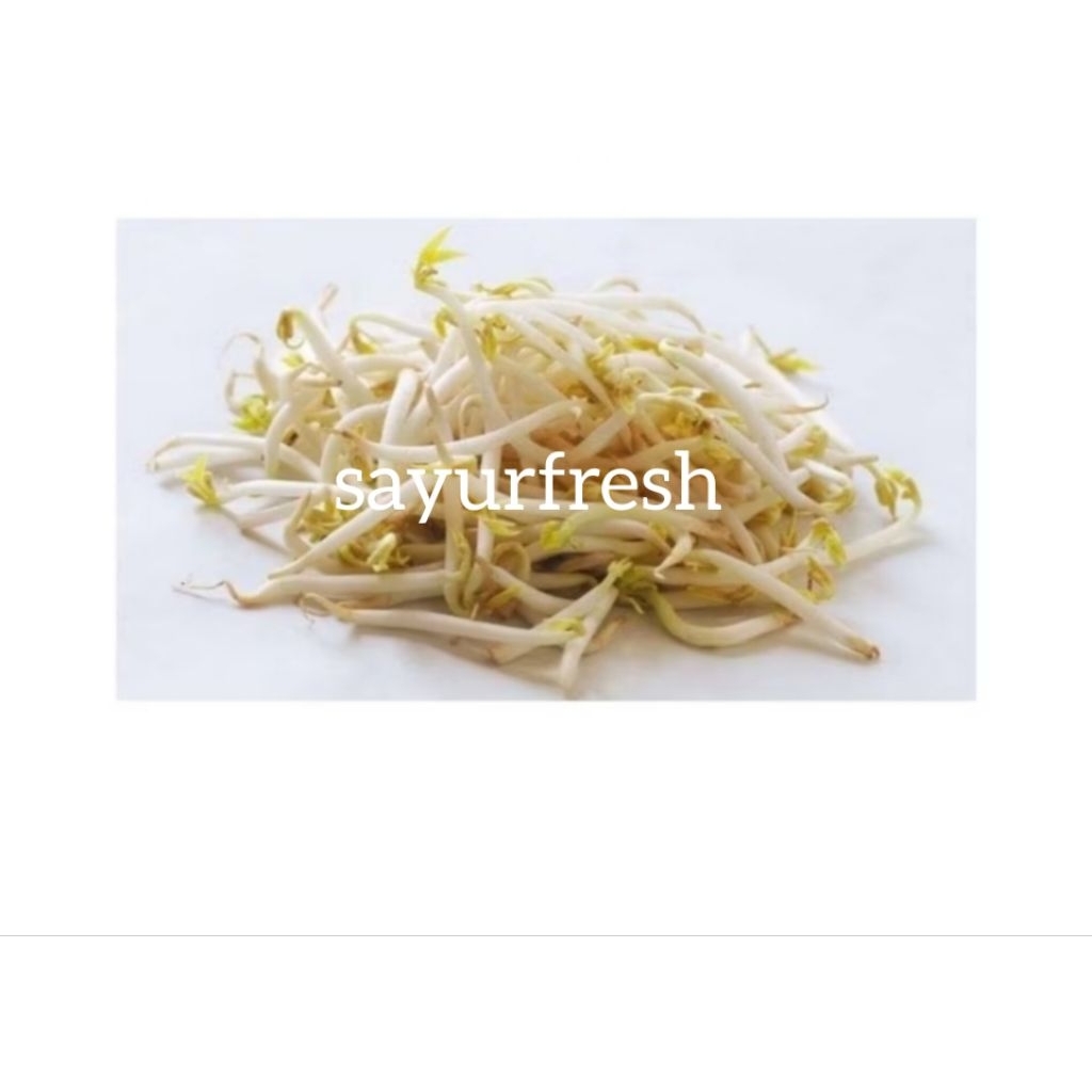 

TAUGE TOGE CAMBAH FRESH