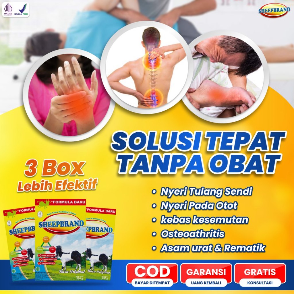 

SHEEEBRAND 12BOX PAKET SEMBUH !! RASA ORIGINAL TINGGI KALSIUM