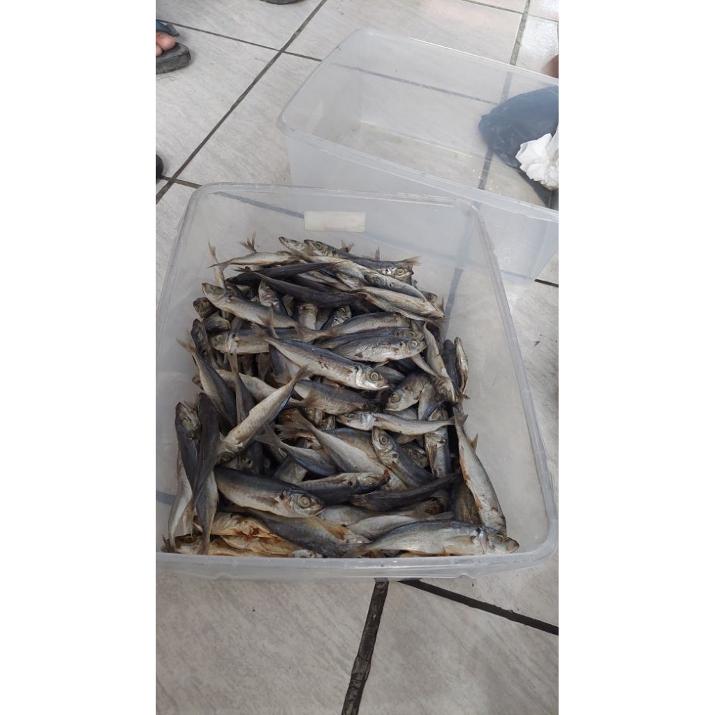 

Ikan Asin Buleud Kecil Per Ons