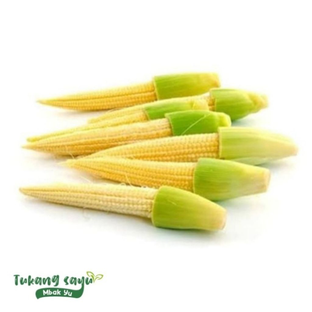 

baby corn/jagung muda 250g