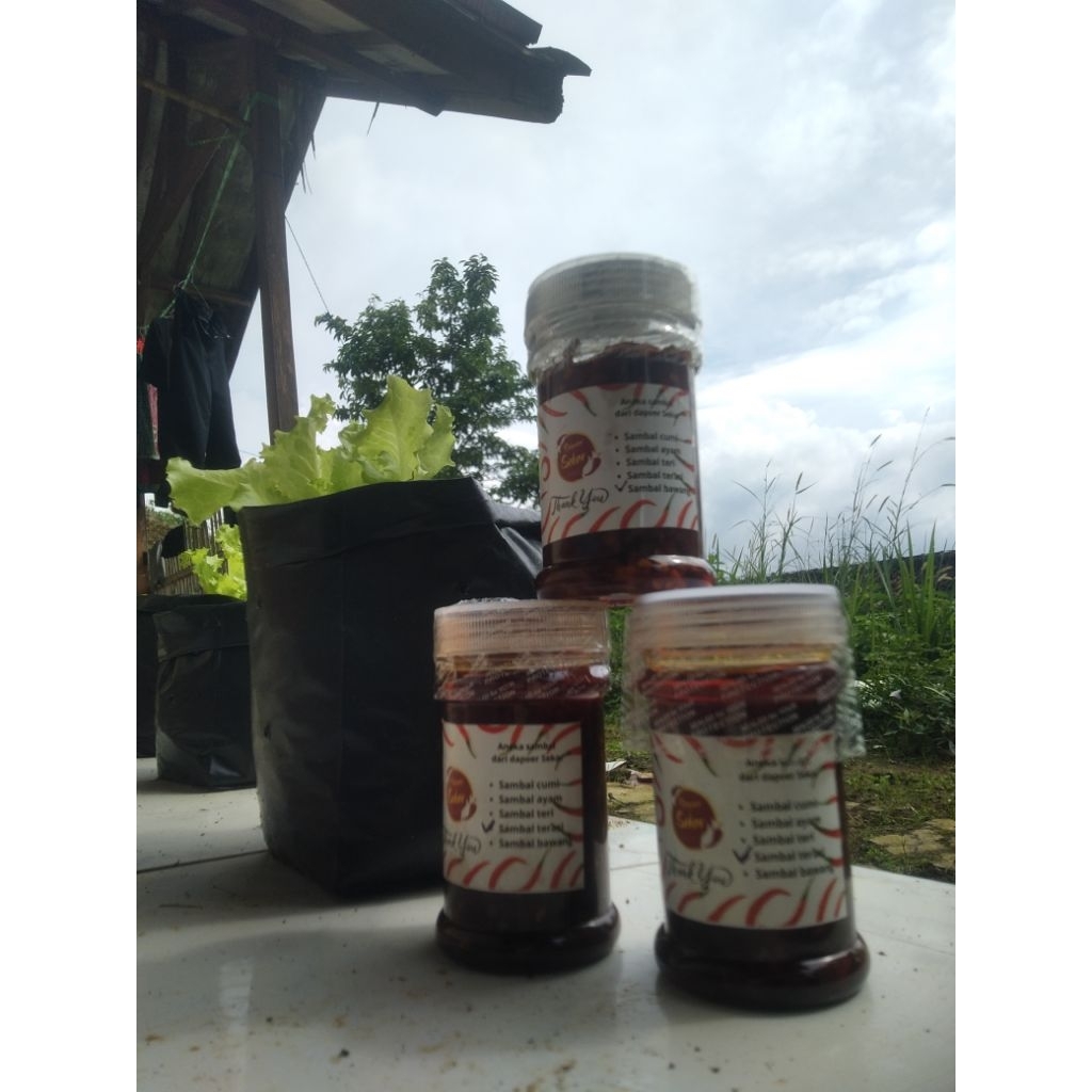 

paket reseller (sambal toping)