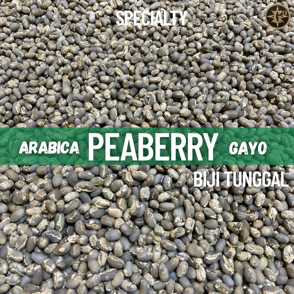 

GREEN BEAN KOPI GAYO ARABICA PEABERRY LANANG TUNGGAL SEMI WASH ACEH ARABIKA BIJI MENTAH 1 Kg