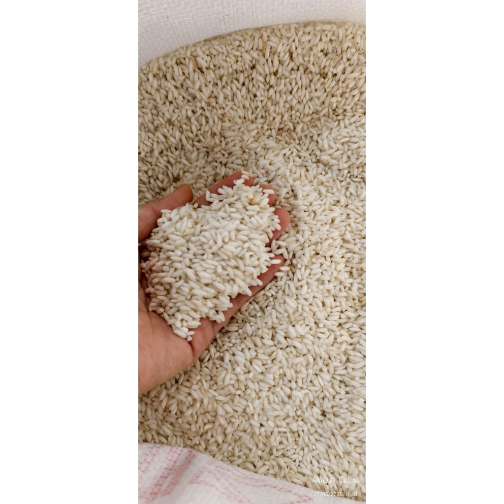 

pulut / beras ketan super / ketan putih /glutinous rice / nomi