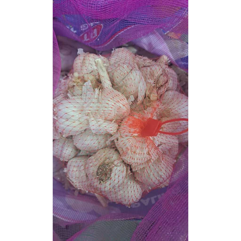 

BAWANG PUTIH KATING SEGAR 1KG