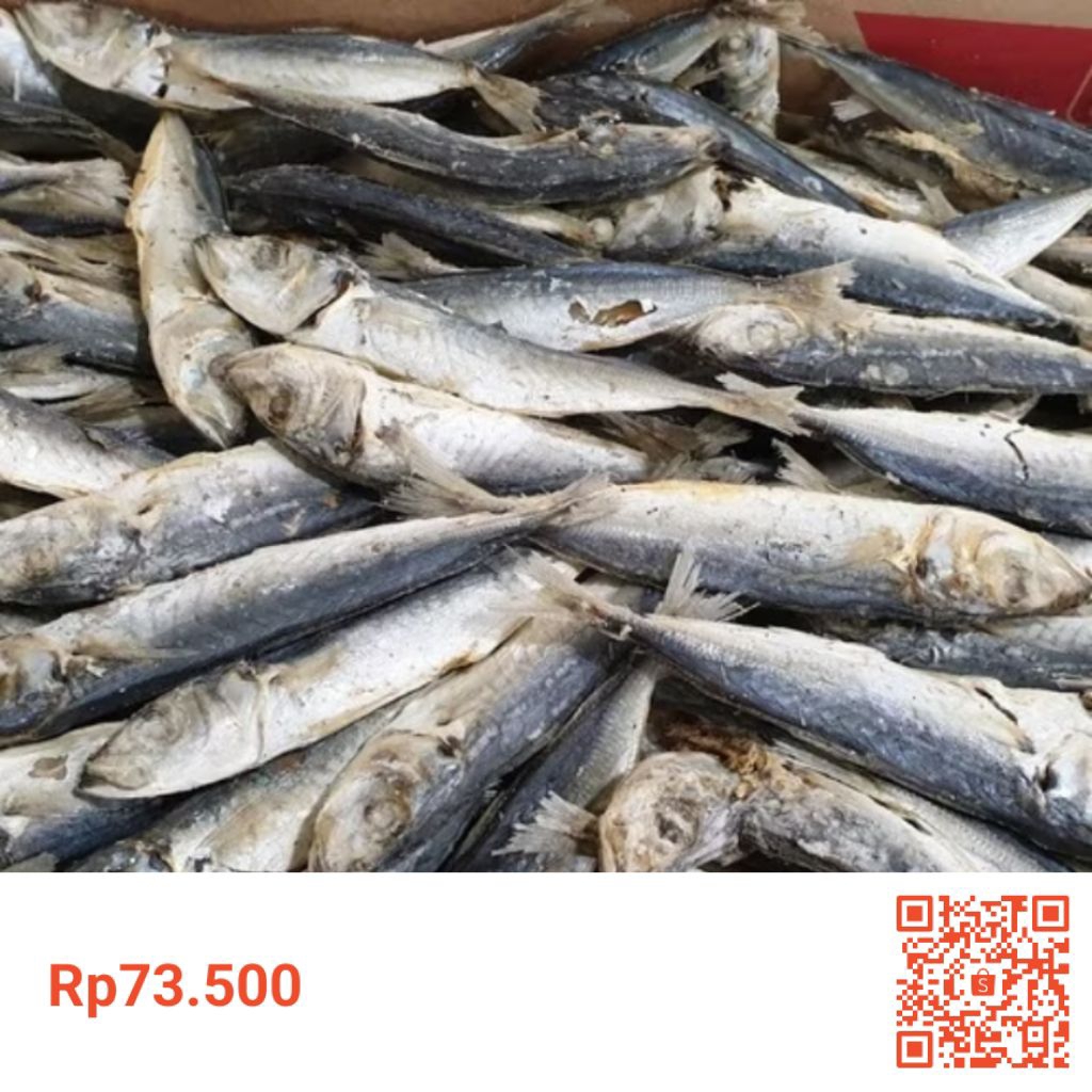 

Ikam asin rebus 500g