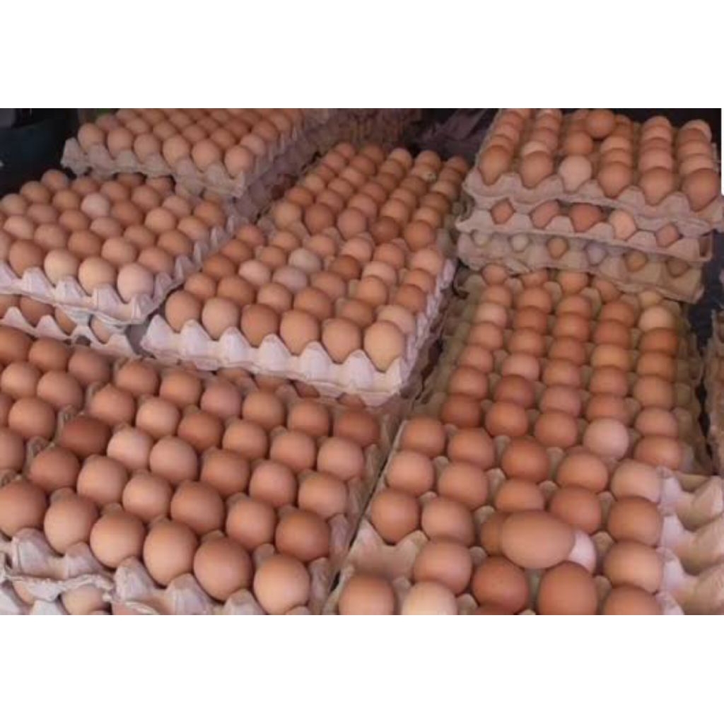 

telur ayam ras ukuran besar 1 papan