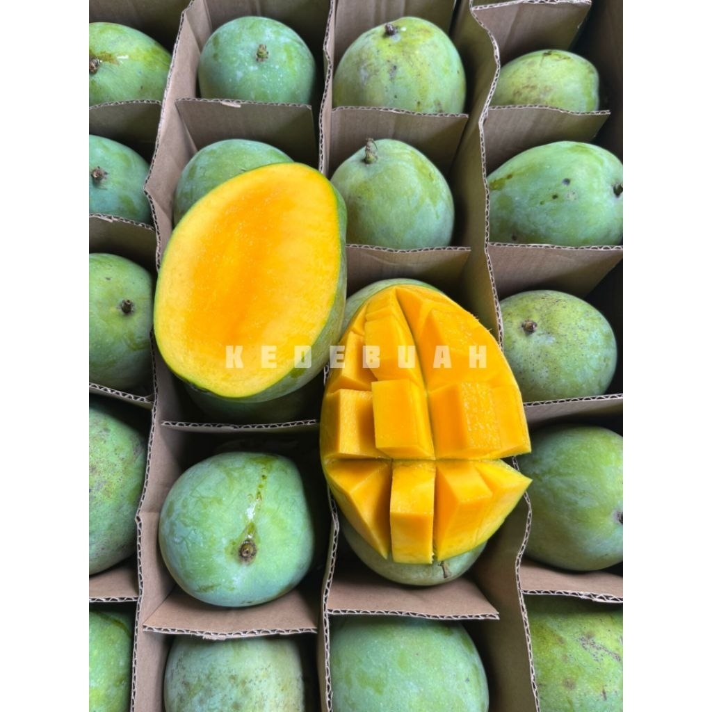 

Mangga Harum Manis Super 1 Dus 10 Kg