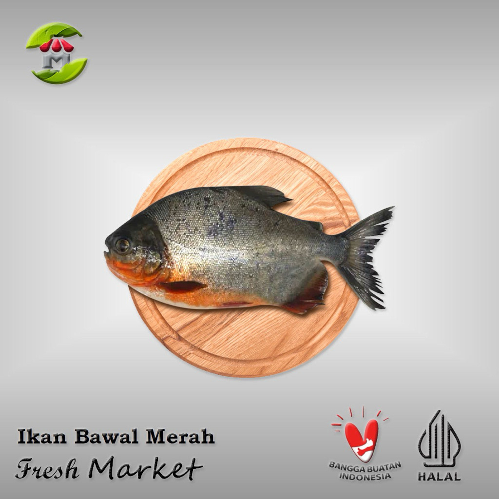 

[DEPOK] Ikan Bawal Merah Tawar Pack 900gr - 1kg