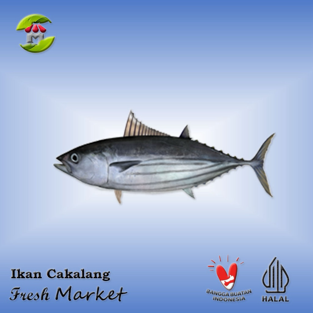 

[BOGOR] Ikan Cakalang Pack 900gr - 1kg