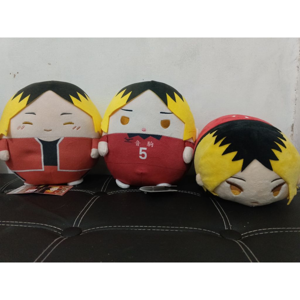 Haikyuu Fuwakororin Special & Jersey Kozume Kenma size M|mochimochi mascot ms large Kozume Kenma