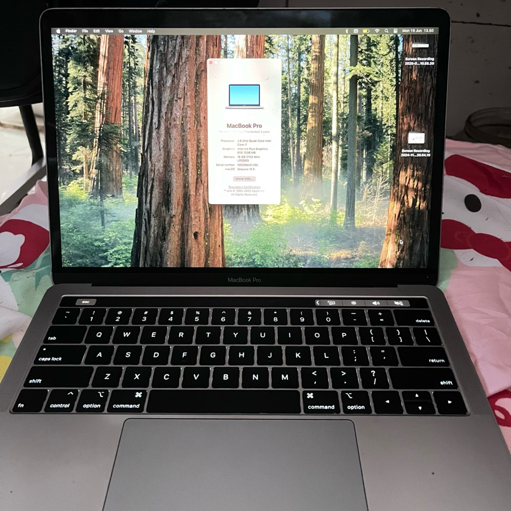 [SECOND] Macbook Pro 2019 i7 13 inch RAM 16gb SSD 512gb