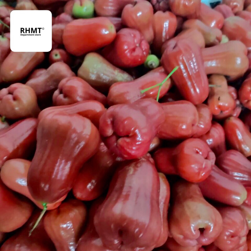 

Jambu Air Citra Demak Buah Segar dan Berkualitas