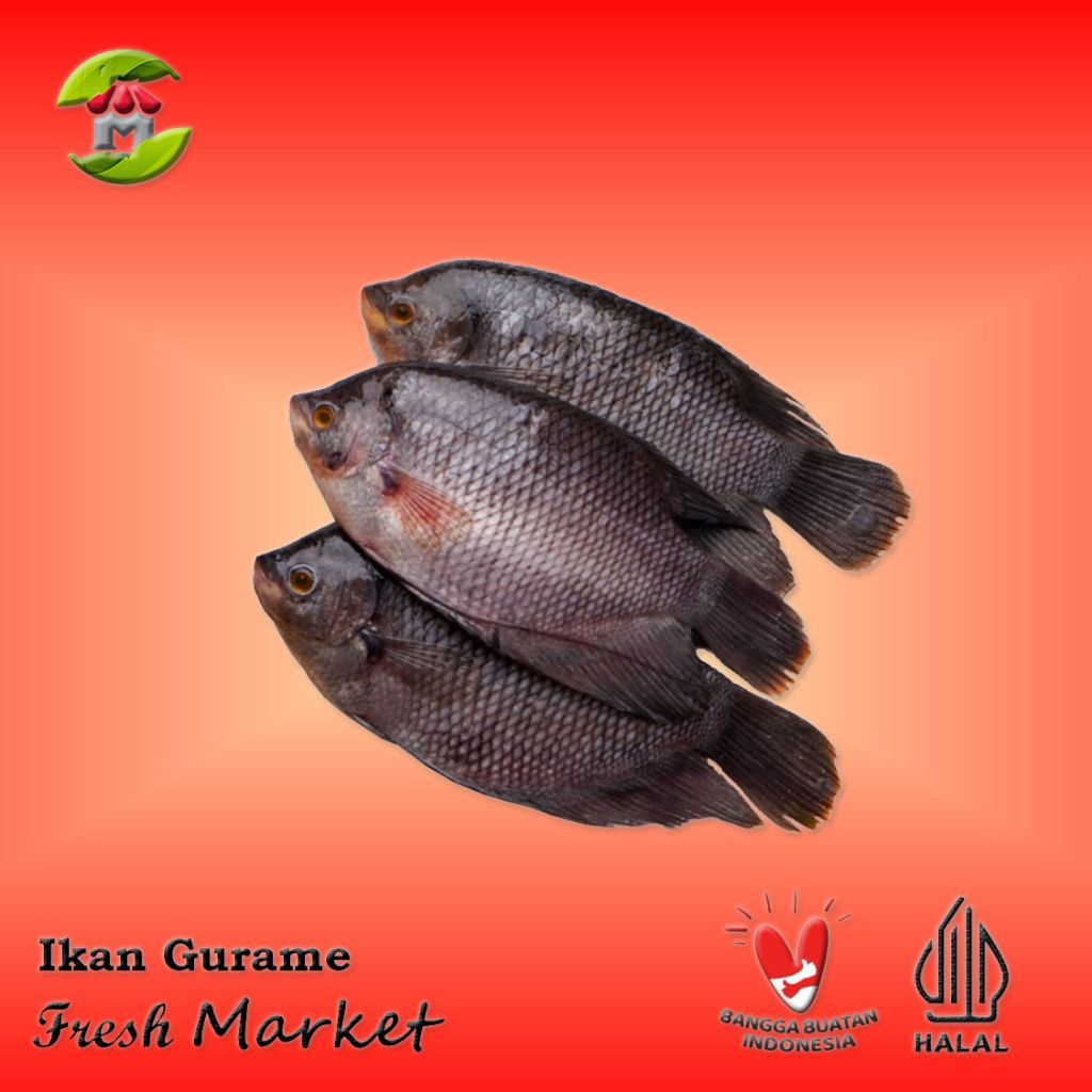 

DA [JAKTIM] Ikan Gurame Frozen Pack 600gr - 700gr