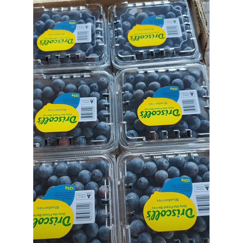 

Blueberry Driscollls China 125gram/Pack