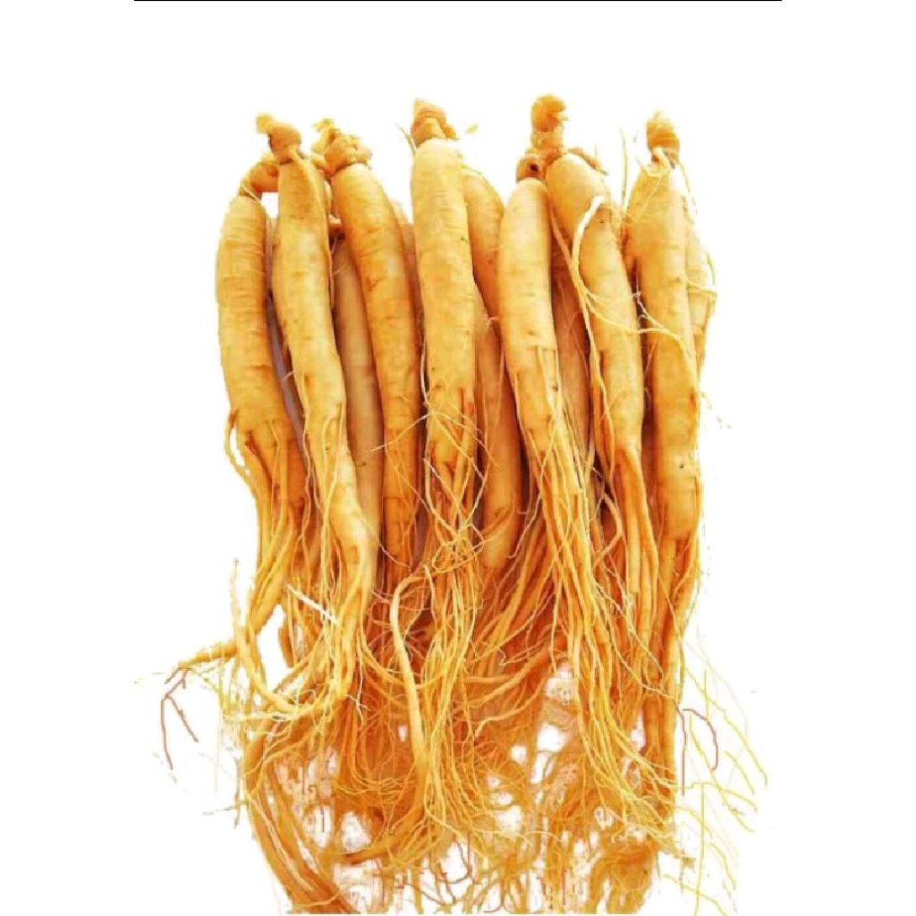 

Gingseng Korea Mini 20gram