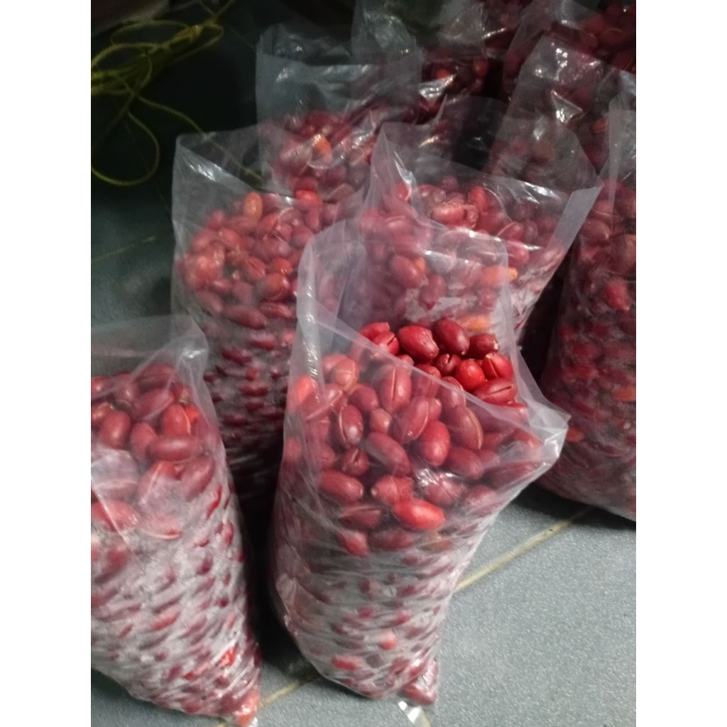 

5kg kulit melinjo full merah mateng di pohon siap sayur&di huat kripik cocok untuk di jual lagi