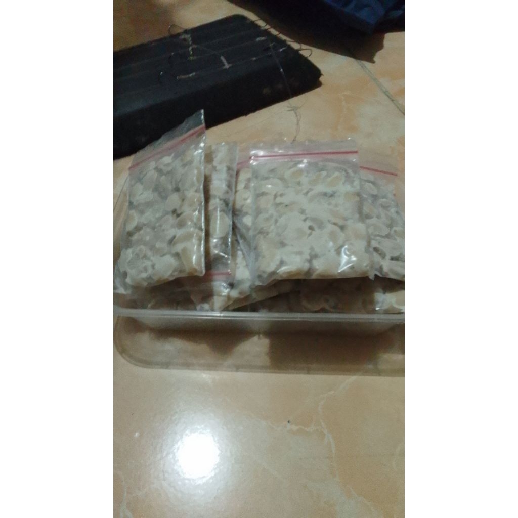 umpan mancing bawal biji jarak fermentasi