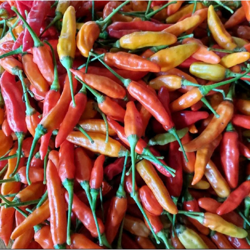 

cabe merah (RM) 1kg