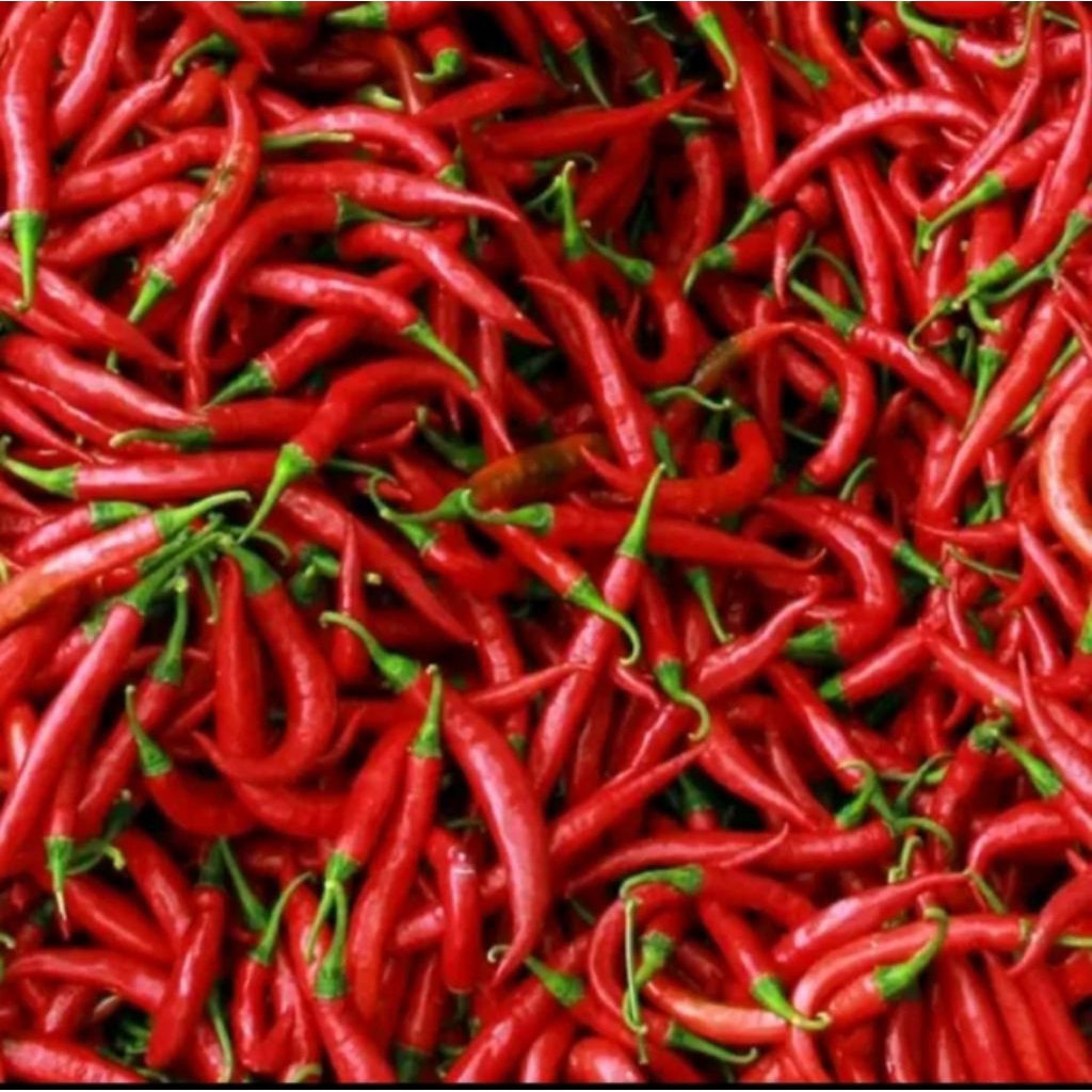 

cabe merah gede 1kg