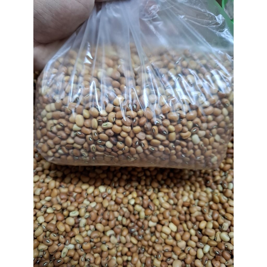 

kacang tunggak/tolo 1000gram