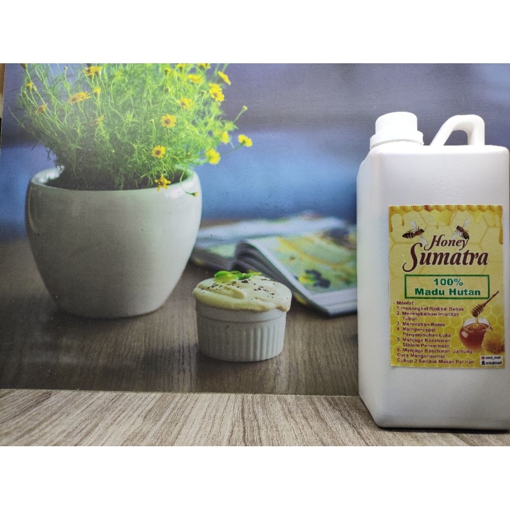 

Madu sumatra asli/madu hutan asli ukuran 1kg/1000ml