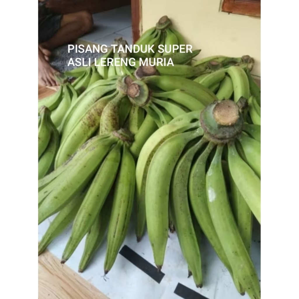 

Pisang Tanduk/Byar Premium – Asli Lereng Muria | Manis, Legit, Cocok untuk Olahan