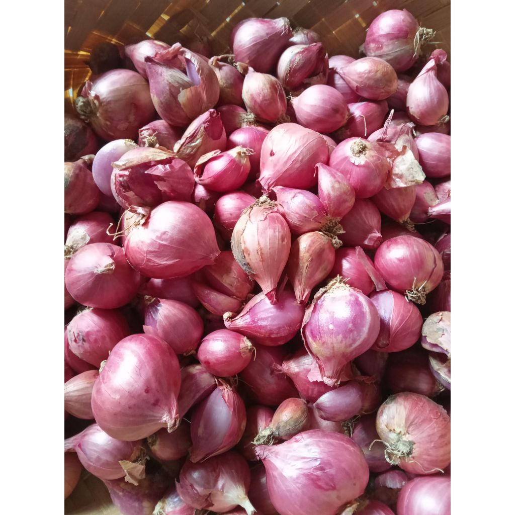 

Bawang Merah Berkualitas 1kg