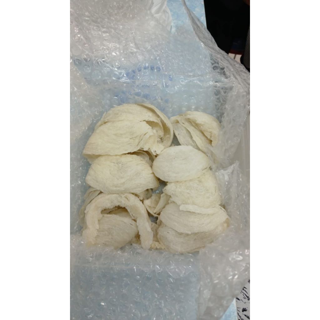 

Sarang Walet Berkualitas Ekspor || Halal || 100 gram || Siap Konsumsi