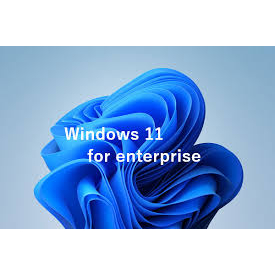 windows 11 enterprise