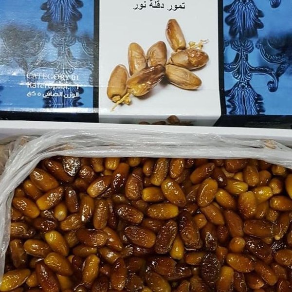 

Kurma Tunisia Madu Barari 5 kg Algeria Barari 5kg Tunisian Dates Algerian Deglet Nour