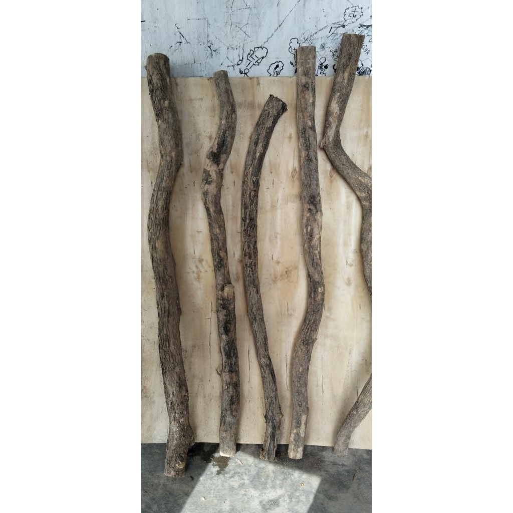 bahan tongkat kemuning Gading / batangan kayu kemuning gading / bahan handle ukuran diameter 5-6cm p