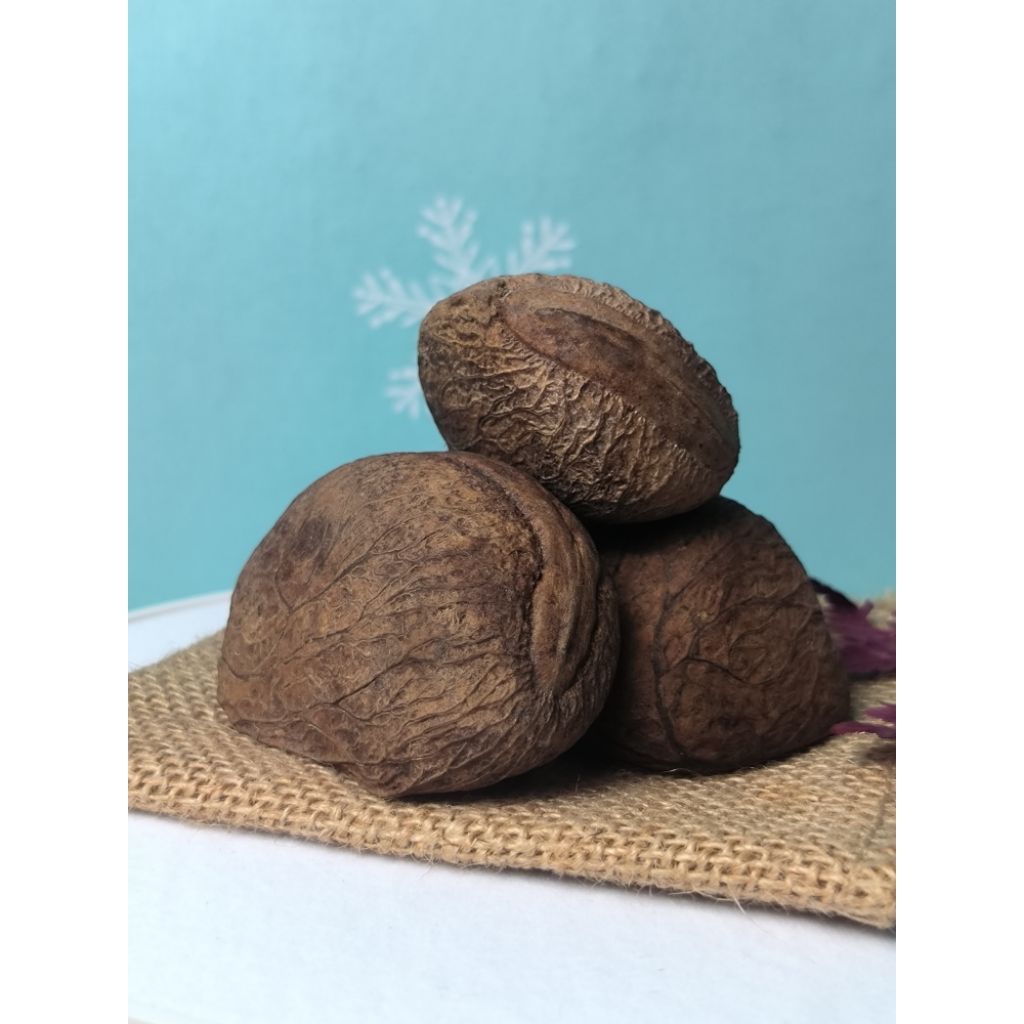 

Kluwek Rawon / Kluwek / Pucung Best Seller