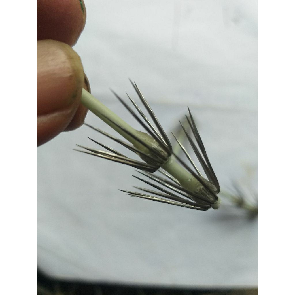 Mata kail pancing cumi cumi