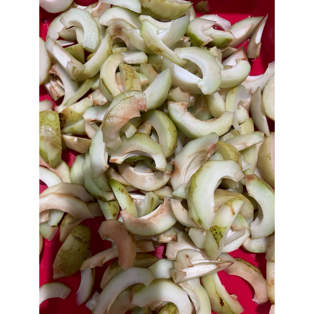 

MANISAN PALA ASLI GISTING TANGGAMUS