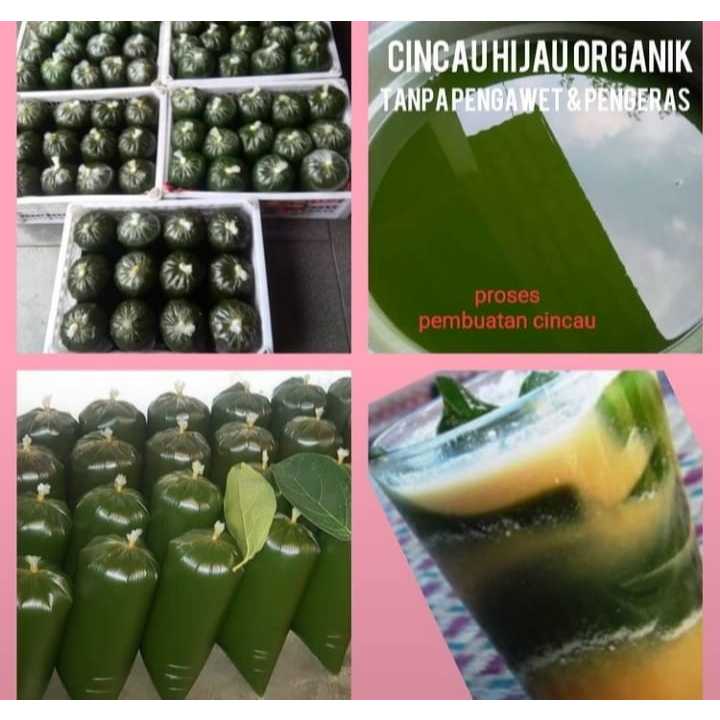 

Organik Cincau Hijau Tanpa Pengawet & pemanis