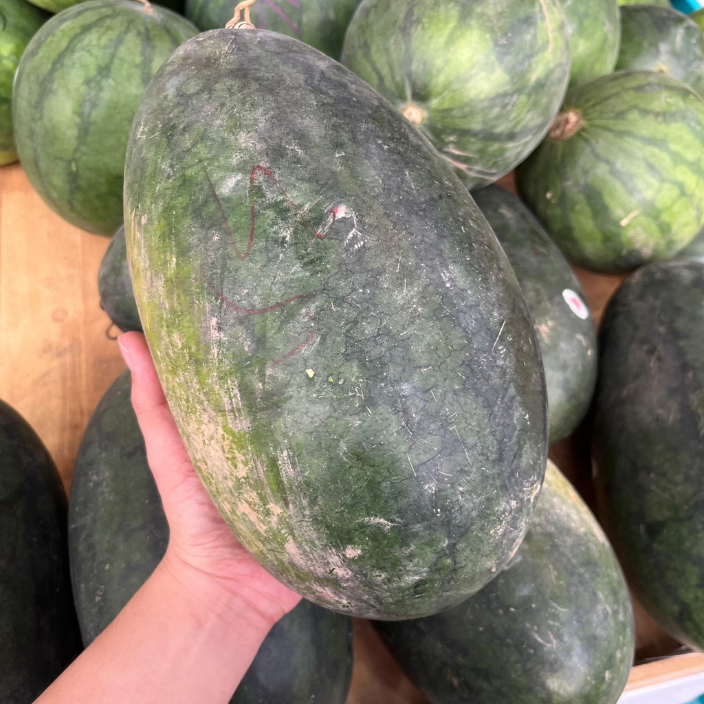 

SEMANGKA KUNING | Buah Watermelon Fruit