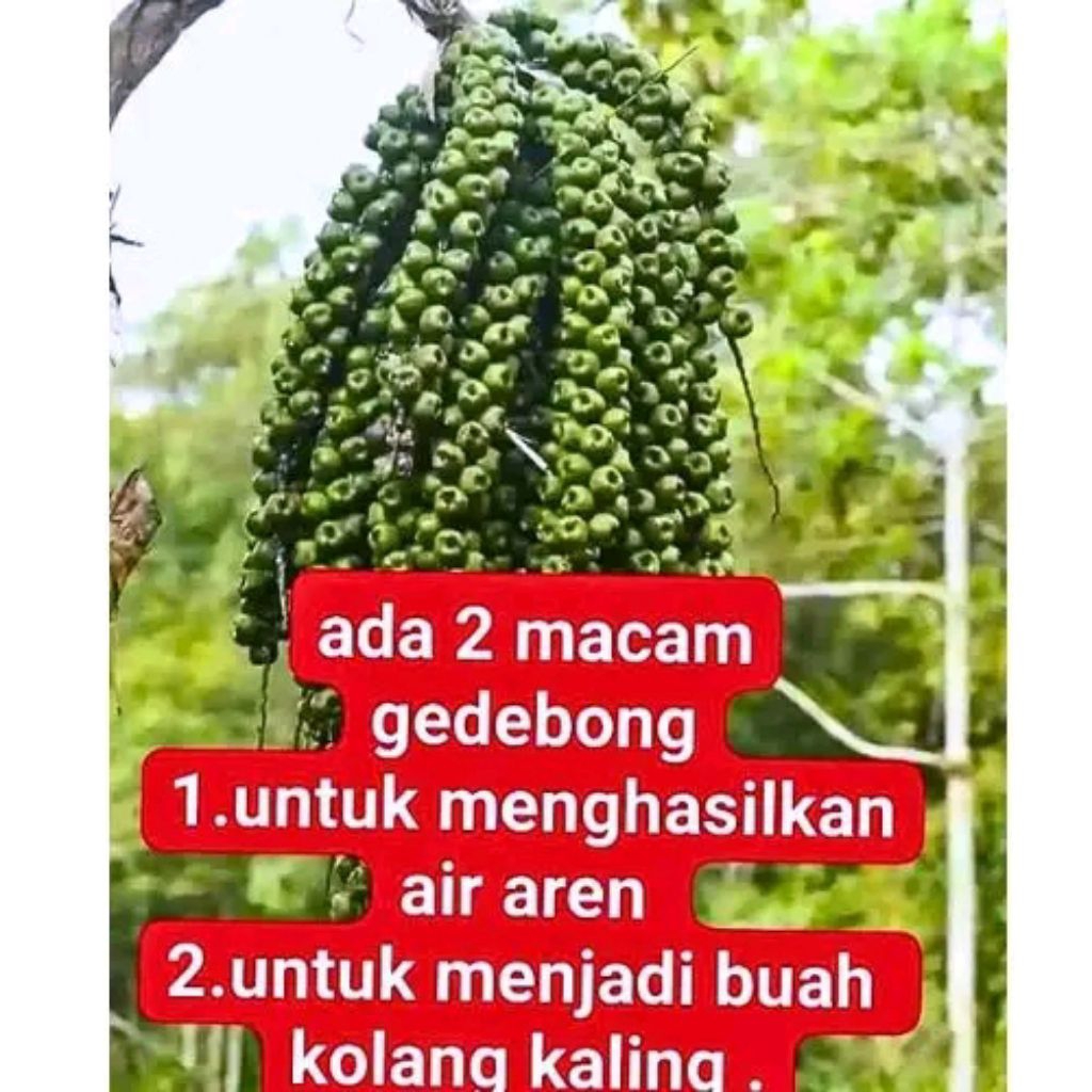 

GULA MERAH ASLI TAMPA BAHAN CAMPURAN LANGSUNG DARI PETANI