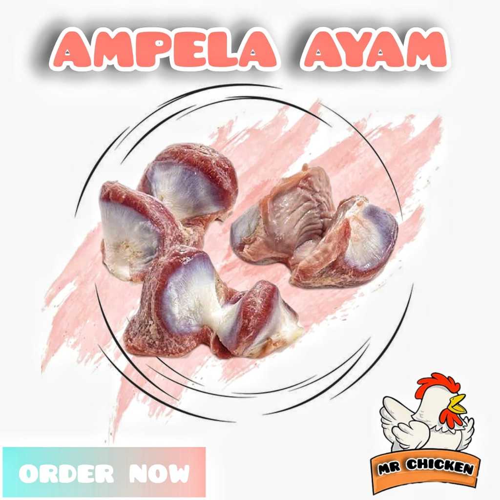 

ampela ayam ukuran 1kg