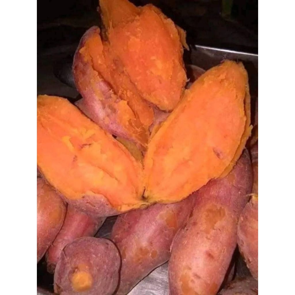 

ubi orange.