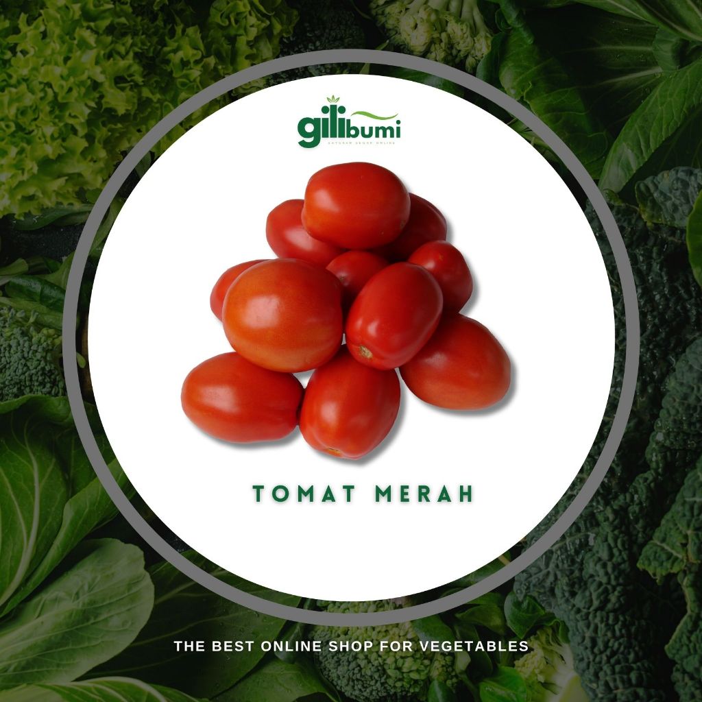 

Tomat Merah Segar (250gr)
