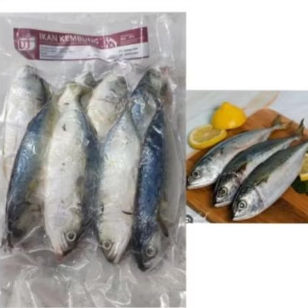 

Ikan Kembung Segar Banjar KJP