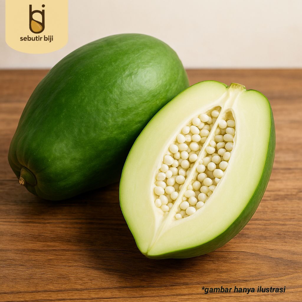 

Pepaya Muda Segar dari Kebun Sendiri | Berat 800 -1200 gr | Pepaya Kualitas Unggul