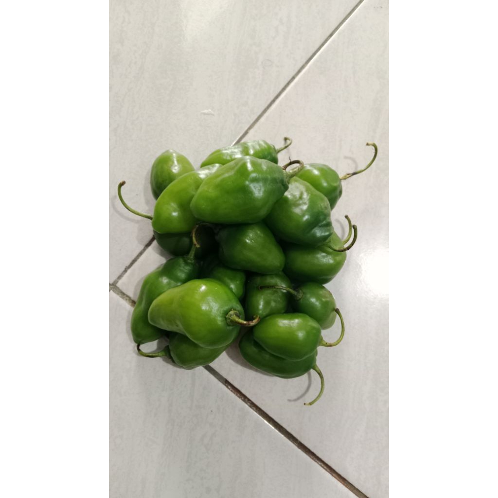 

Cabe Gendot 250 gram