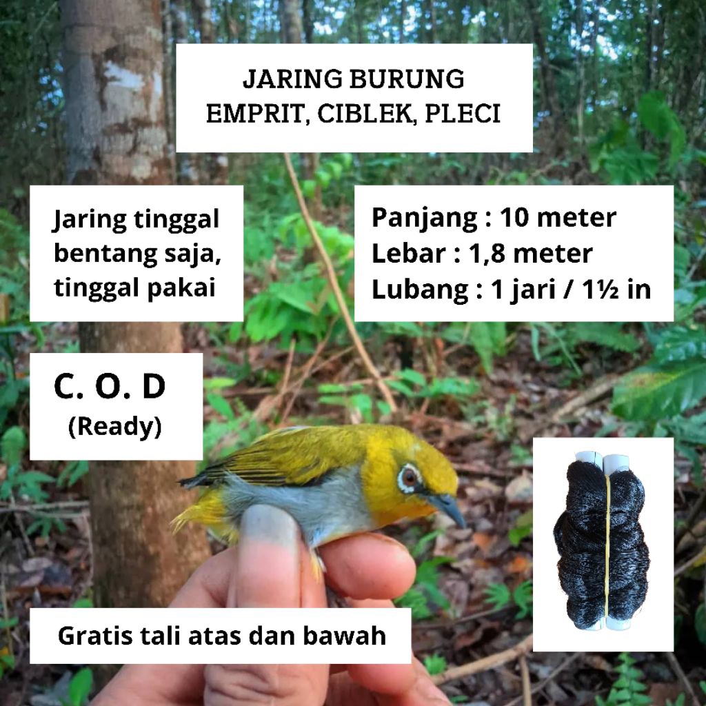 JARING BURUNG PRENJAK JARING EMPRIT PIPIT SIAP PAKAI PIKAT BURUNG SAWAH