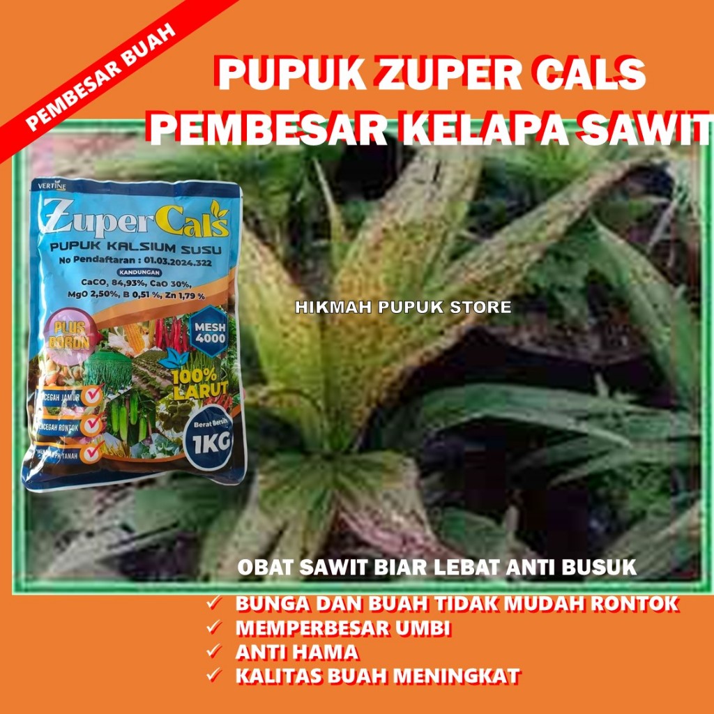 PUPUK ANTI BUSUK BATANG SAWIT ZUPERCALS 1 KG Pupuk Pencegah Busuk Sawit, Busuk Buah, Busuk Batang, B